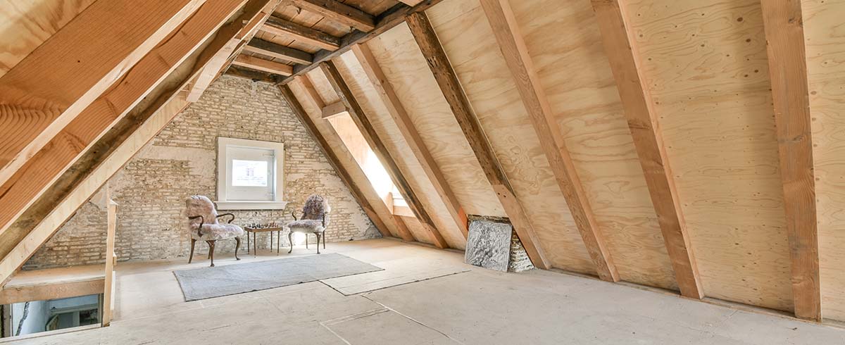 Big spacious attic